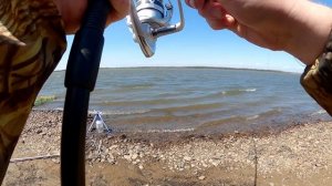 Майская рыбалка на сазана на Амуре. Фидер.