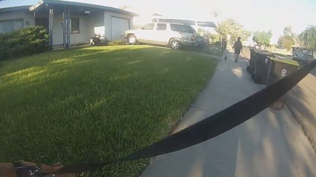 Walking PitBull 6 смотреть онлайн