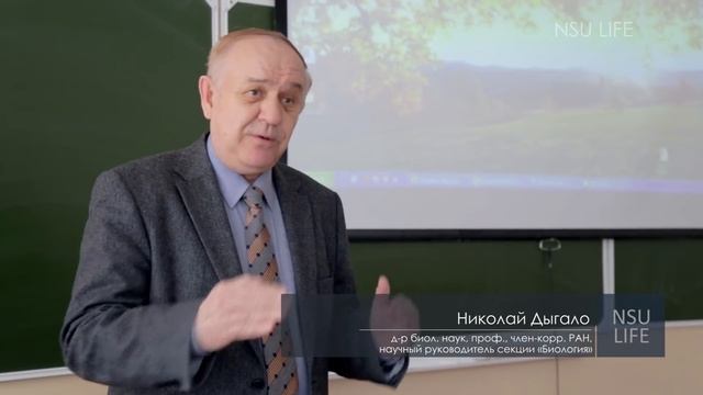 МНСК-2015 смотреть онлайн