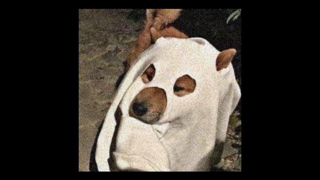 Игорь Скляр , Atomic Heart - Komarovo ( DVRST Phonk Remix). 💞💖🌇💞😜🤪🤪😜 смотреть онлайн