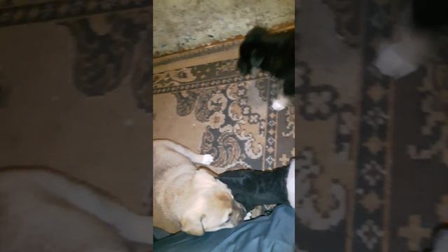 третье пополнение 1 смотреть онлайн