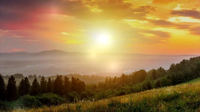 Bach Air in G String 10 Hours - Elegant Classical Music to Relax смотреть онлайн