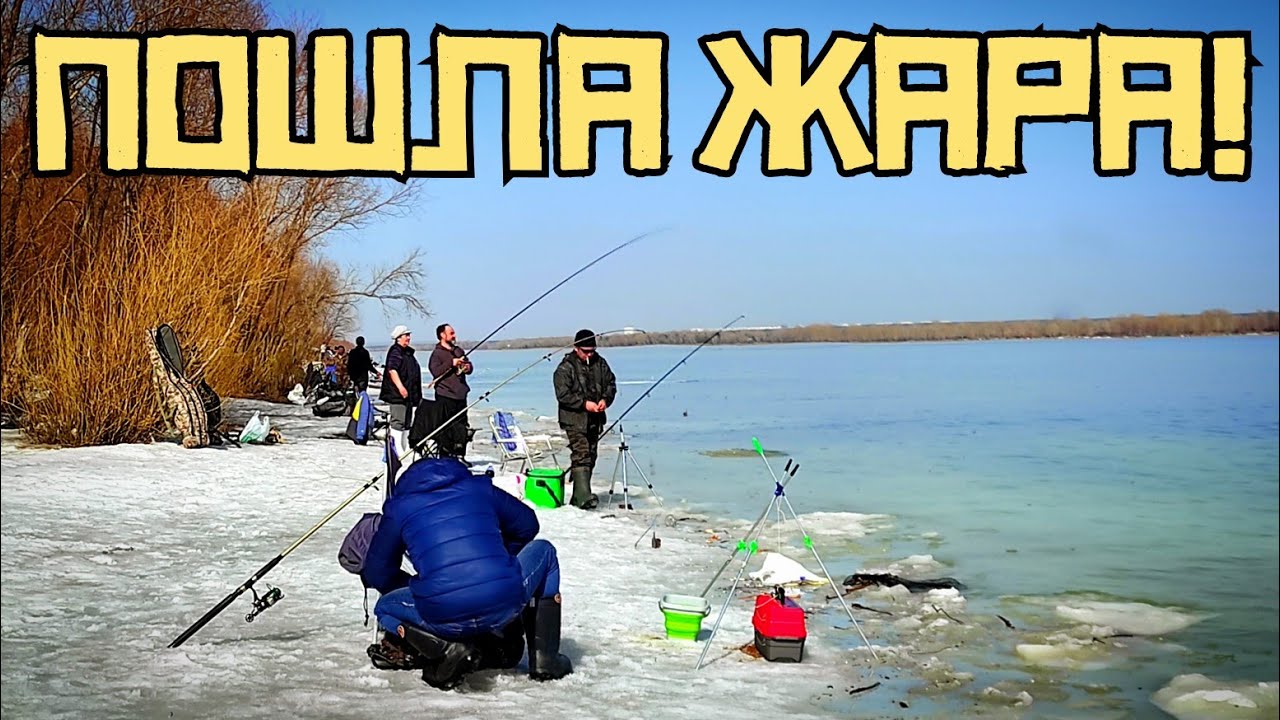 ЛЬДИНА ЗАБИТА РЫБАКАМИ! Они ловят КРУПНЯК! Открыли сезон 2024 в АПРЕЛЕ! смотреть онлайн