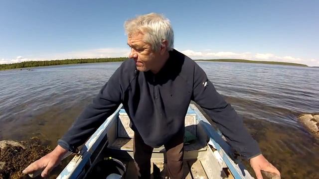 В черный ручей