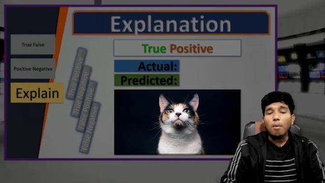 What is True Positive, False Positive, True Negative, False Negative | Explanation with Example смотреть онлайн