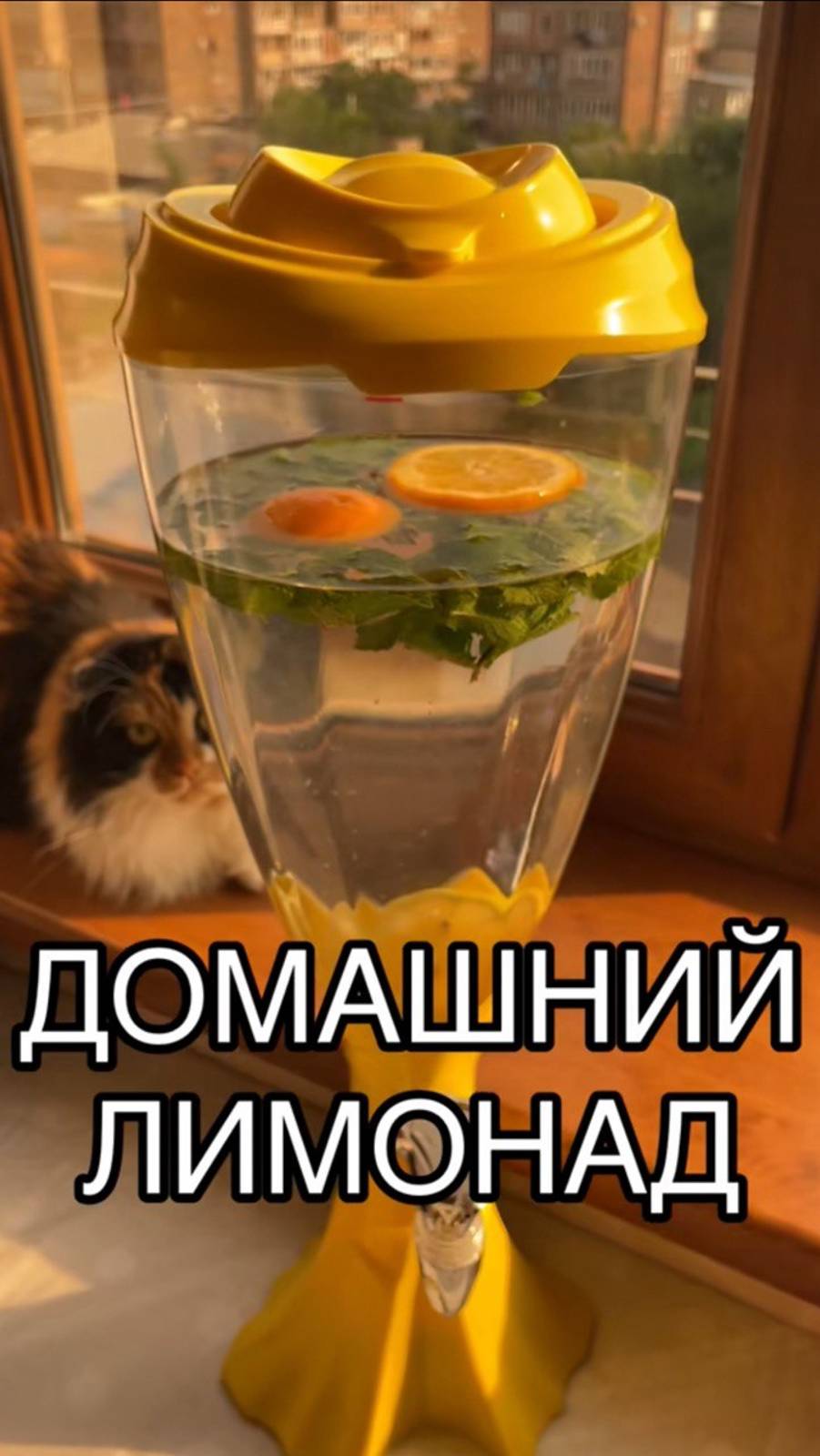 Домашний лимонад ❤️