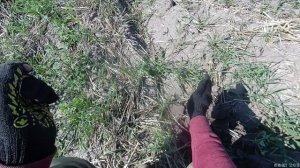 Поиск на мусорных и битых местах. XP ORX!