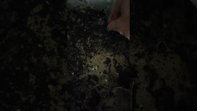 Строительная Стратегия