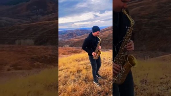 Седьмой лепесток саксофон ? kogutsax