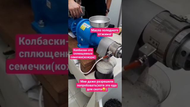 Шнек-это не масло холодного отжима 😱 смотреть онлайн