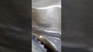 Замена ремня ГРМ на Чери Бонус А 13..часть первая...