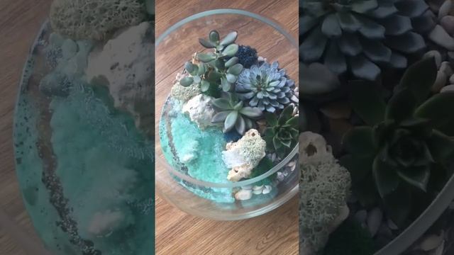 Флорариум с водоёмом. Ваза 7,5 л. Стоимость 3200р смотреть онлайн