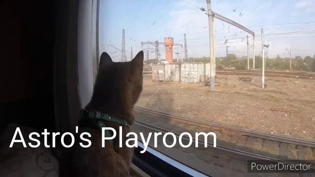 Funny Animals Cats Dog Tik Tok Astro's Playroom of #7 From To 2020 and the children смотреть онлайн