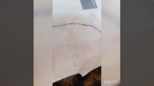 Потолок Honda Stepwgn