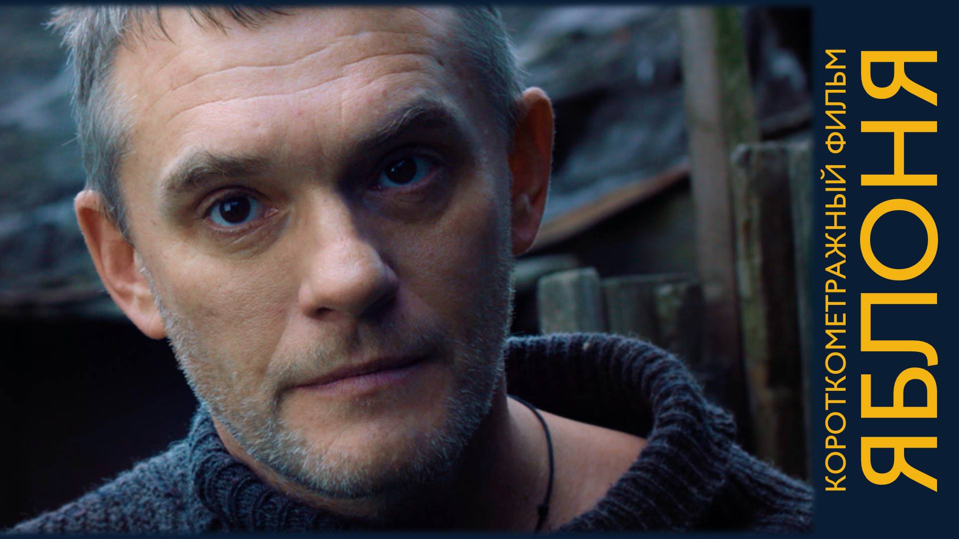 «Яблоня» (короткометражный фильм, драма, 2021) смотреть онлайн