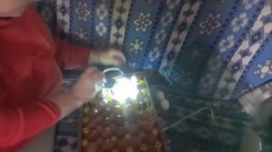 Подробная инкубация куриного яйца Марана