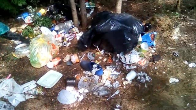 Русские самые лучшие в мире смотреть онлайн