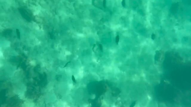 Phi Phi Don Island смотреть онлайн