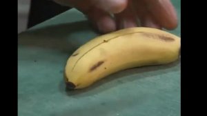 Индийская Кухня. Приготовим 5 вкуснейших вегетарианских блюда.