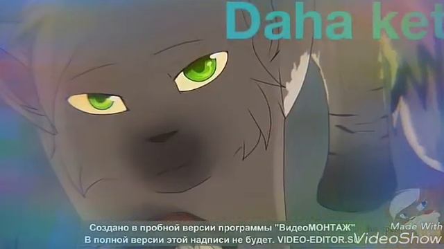 коты воители клип смотреть онлайн