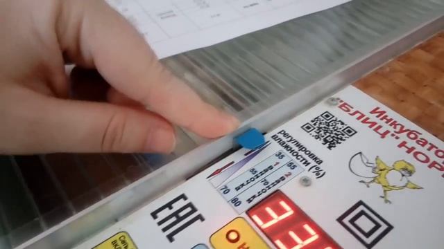 Инкубация для начинающих. Выводим цыплят в инкубаторе Блиц Норма на 72 яйца. смотреть онлайн