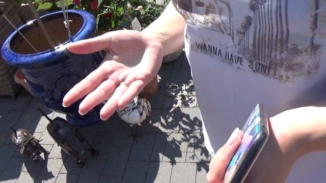 Швеция. Парк ЛИСЕБЕРГ. смотреть онлайн