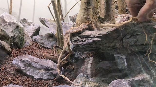 Моя работа на IAPLC 2023 смотреть онлайн