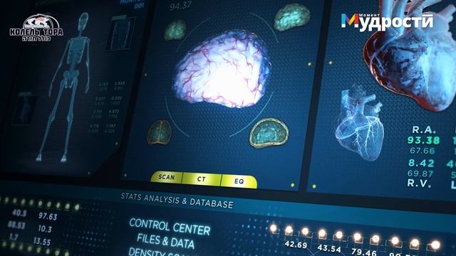 Контроль действий или противодействие духу глупости смотреть онлайн