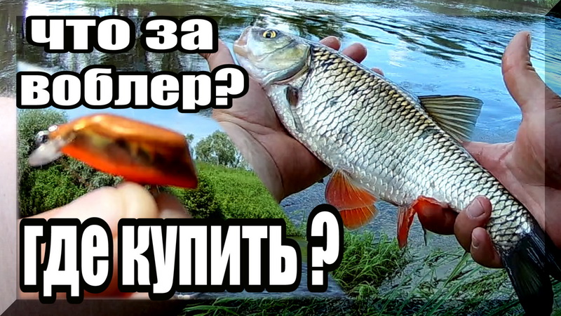 Как поймать _хитрых_ голавлей_ Подбираем воблер, который ему понравится. смотреть онлайн