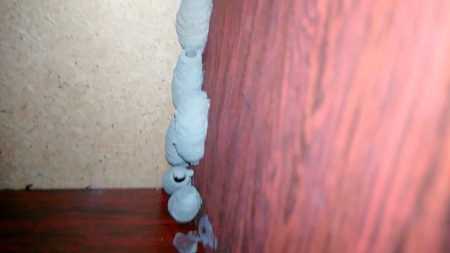 socket. Sceliphron destillatorium. Sceliphron. Sphex. Ammophila wasp.Ammophilinae. cocoon of insect смотреть онлайн