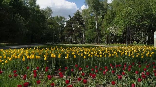 Весна в парке Кузьминки. 2020 смотреть онлайн