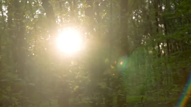 [Сборник хитов Yiruma] Коллекция песен для фортепиано Yiruma | Сборник 20 лучших песен Yiruma Piano