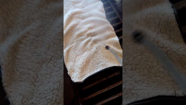 Меховые накидки от Автомутона рф.