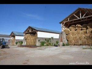 КФХ Александра Москвина. Знакомство с хозяйством