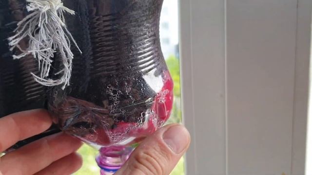 #влог#TomatoКак вырастить помидоры на балконе.Помидоры на балконе 20 дней спустя в горшках и бутылк смотреть онлайн