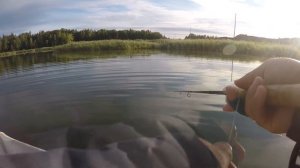 Нахлыст.Ловля окуня