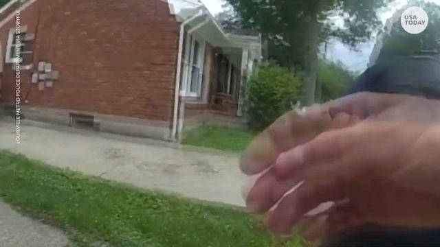 Potbelly pig takes officers, neighbors on colorful chase | USA TODAY смотреть онлайн