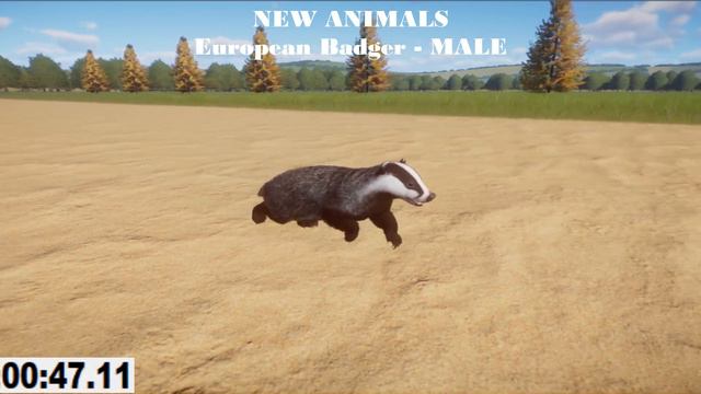 New Male Animals Speed Races in Planet Zoo included Ibex, Lynx, Badger, Deer смотреть онлайн