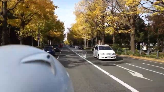 横浜　山下公園　SONY NEX C3 撮影 смотреть онлайн