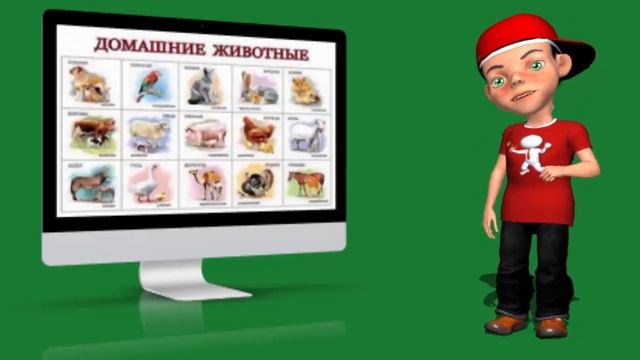 Кого называют животными смотреть онлайн