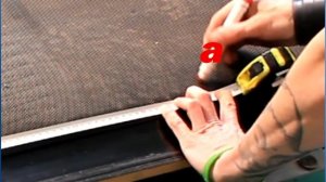 Купить Полотно для Беговой Дорожки (как снять размер для заказа?)