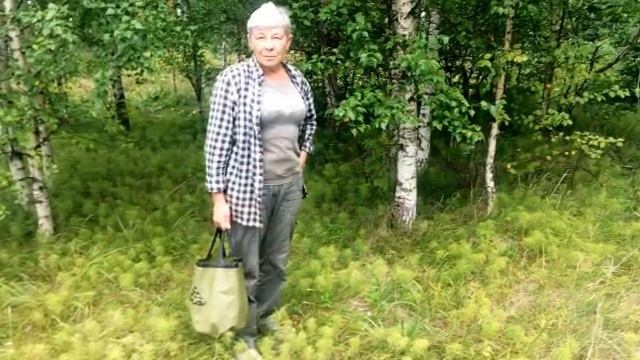 Выходной в лесу / грибочки-цветочки / Природа Урала смотреть онлайн