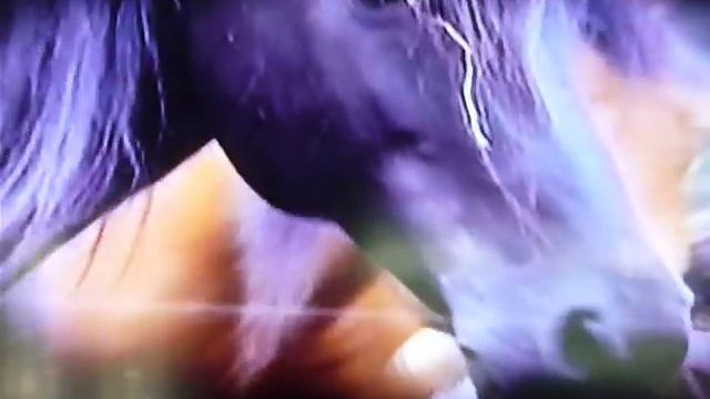 JONAS "Groovy Movies"-Home Videos Scene смотреть онлайн