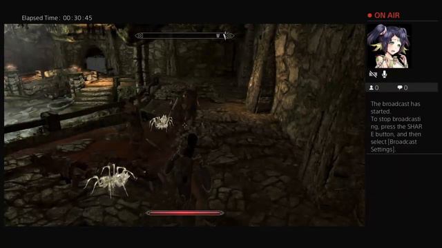 Ps4 Pimped Out 100 Mods Skyrim Lets Play