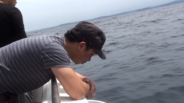 Sea sick,,,,,,,,,,,,, смотреть онлайн