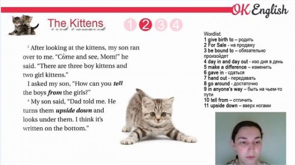 The Kittens ? Intermediate text: grammar, vocabulary and listening skills | OK English