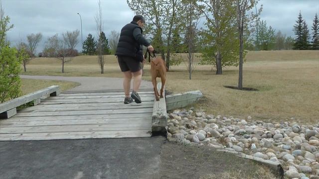 Balance смотреть онлайн