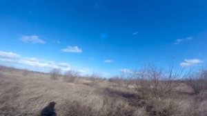 Охота в Крыму на зайца