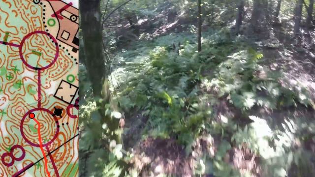 25 08 24, соревнования памяти Н.М. Пржевальского, М16, Никитенки, headcam orienteering.