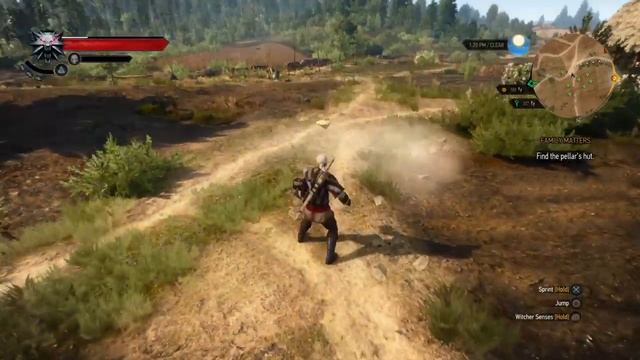 Updated witcher money glitch shows where the bee hive is and the glitch смотреть онлайн